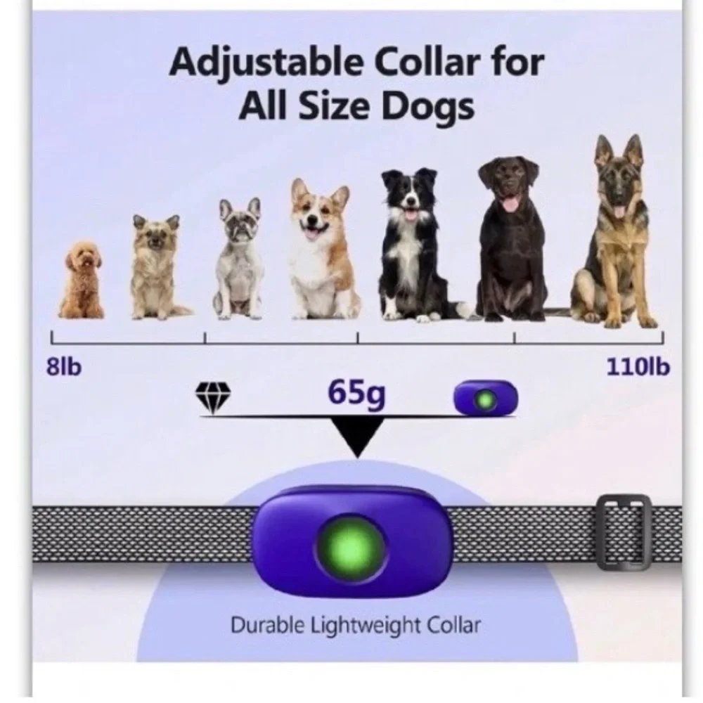 Dog Shock Collar for Large Dog, Rechargeable Dog Training Collar
